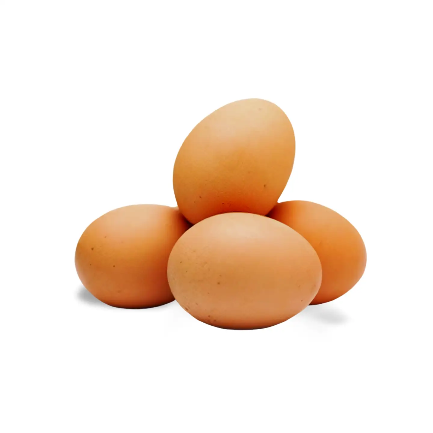 EGG_NADU-1.webp
