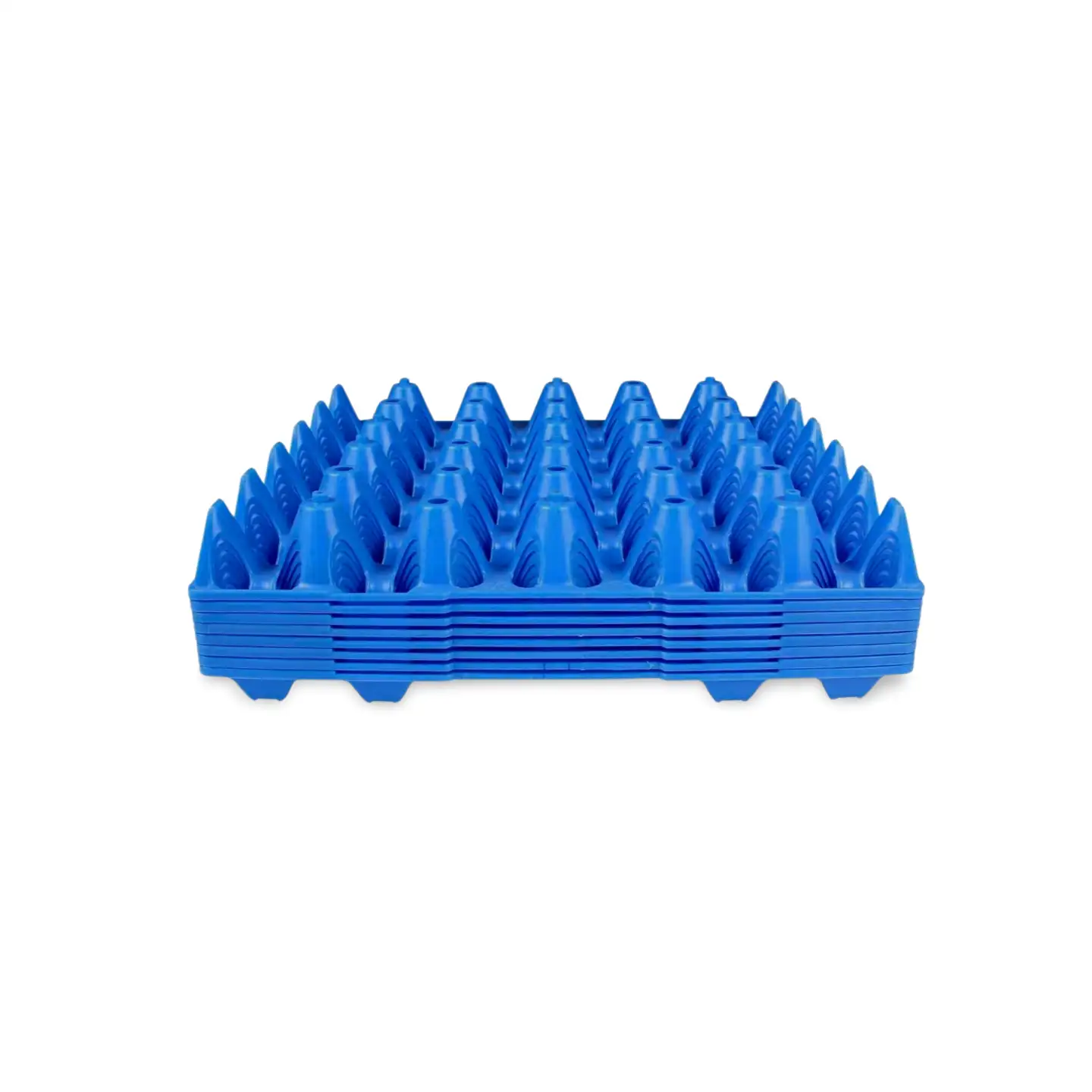 EGG_TRAY_PLASTIC-1.webp